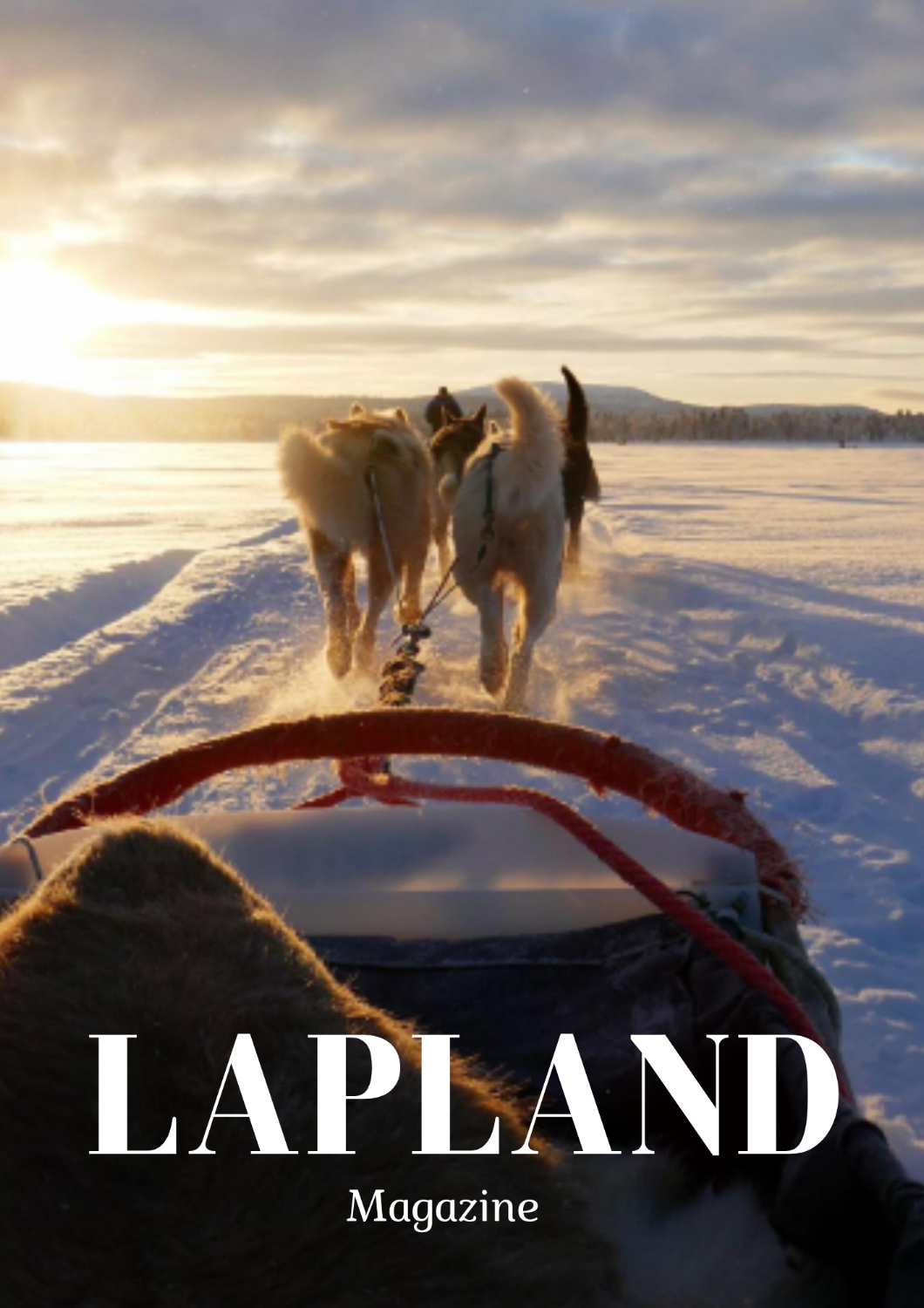 Snowmobile trip, Husky Safari, Snowshoeing -Inari