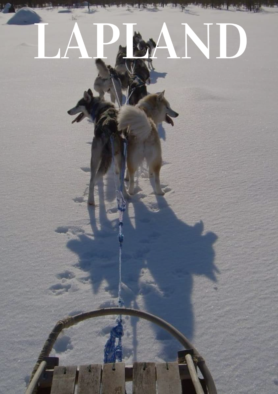 Husky safari